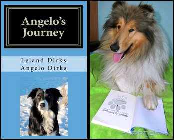 Angelo's journey
