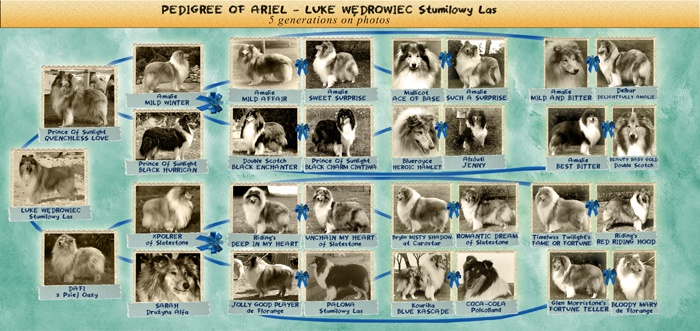 photopedigree