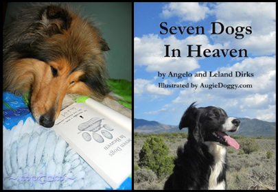 SevenDogs