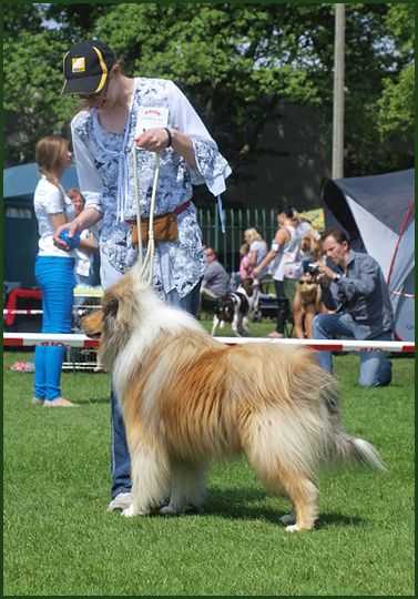 gorzów show 2