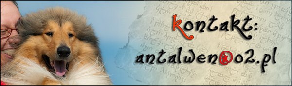 kontakt