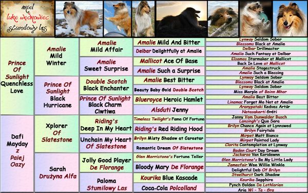 pedigree_small